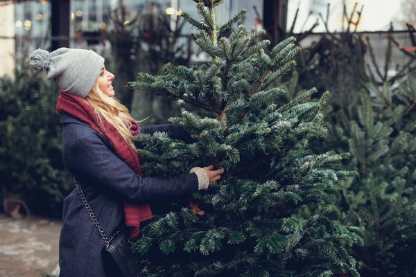 6 wichtige Tipps zum Christbaumkauf